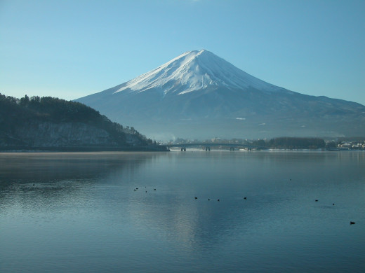 48622 (a): :1024x768